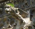 Image Bayeux2014.20140515.0450.GO.CanonSX10.html, size 123782 b